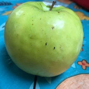 Meet your Posher, Juana